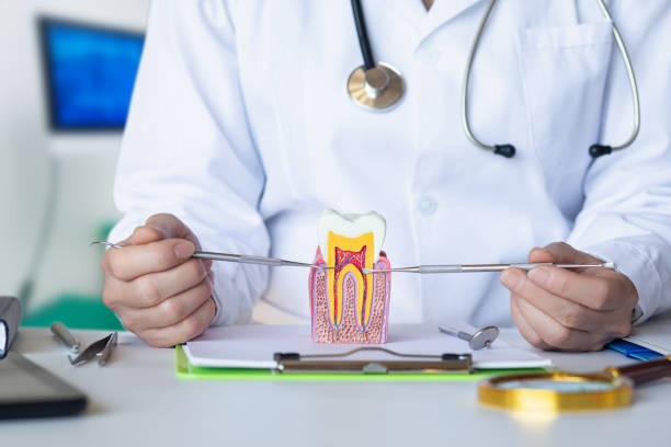 Best Same-Day Emergency Dental Services in New Castle Northwest, PA